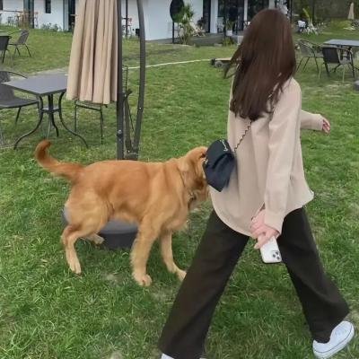 盛夏的灰姑娘